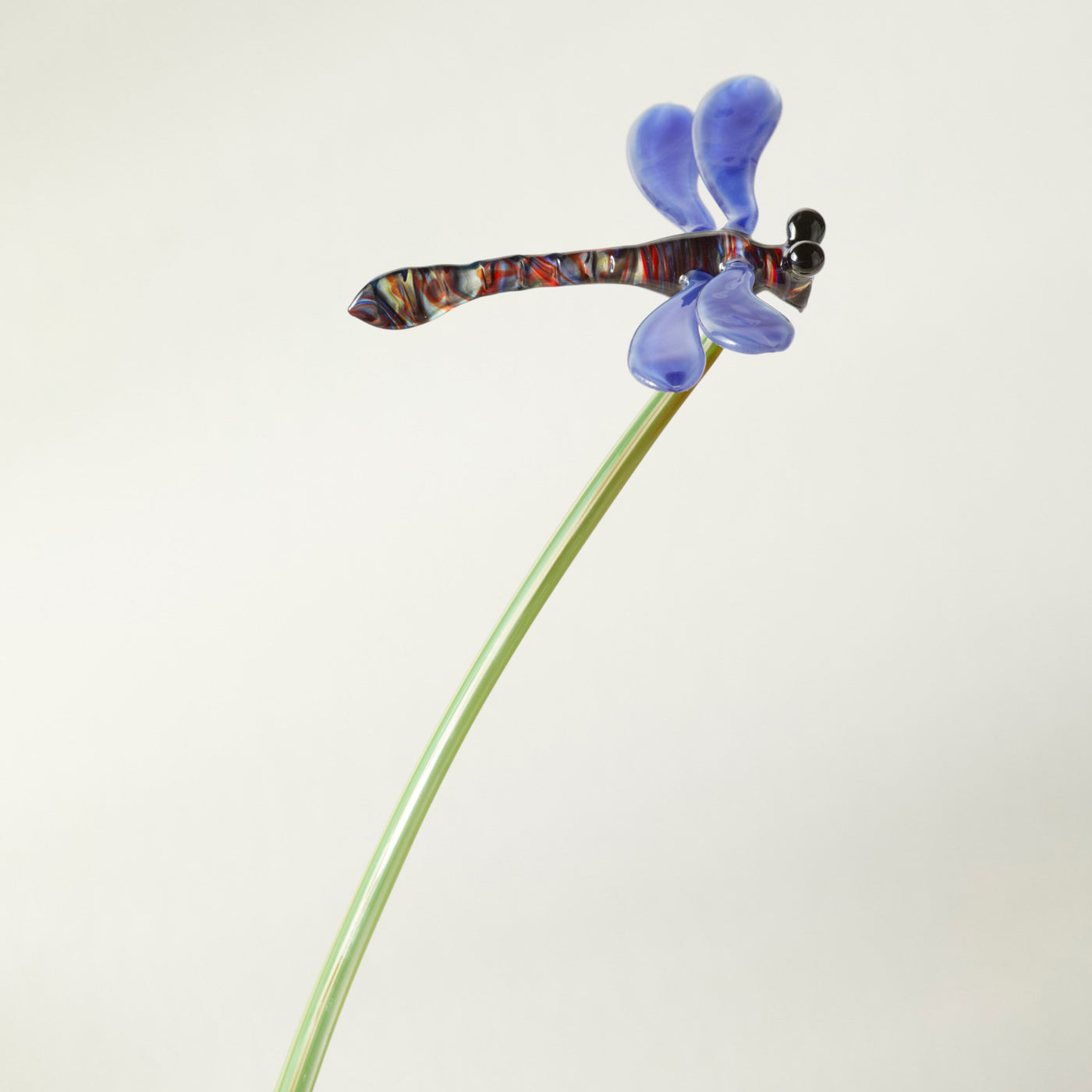 Dragonfly with Green Leaf