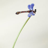 Dragonfly with Green Leaf