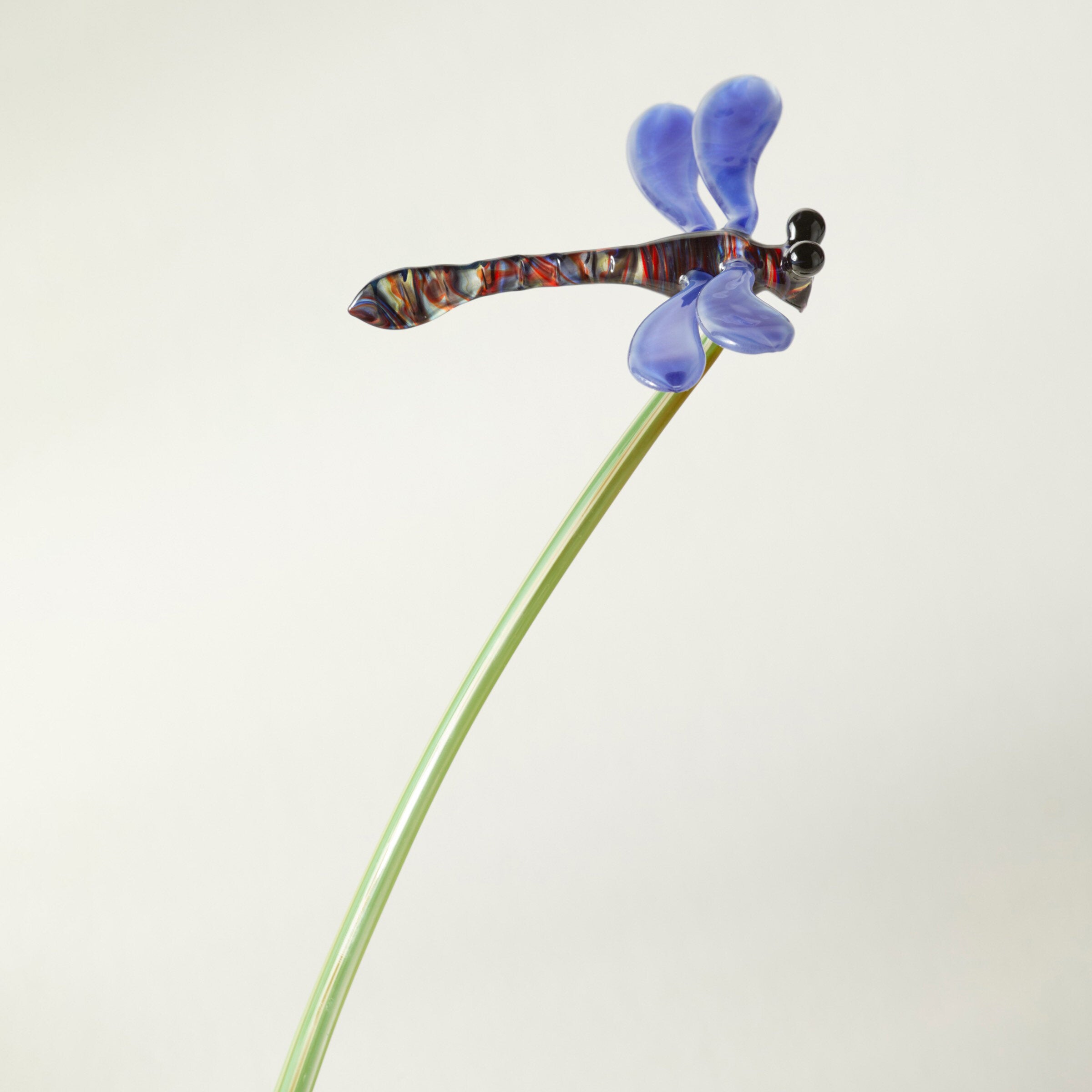 Dragonfly with Green Leaf