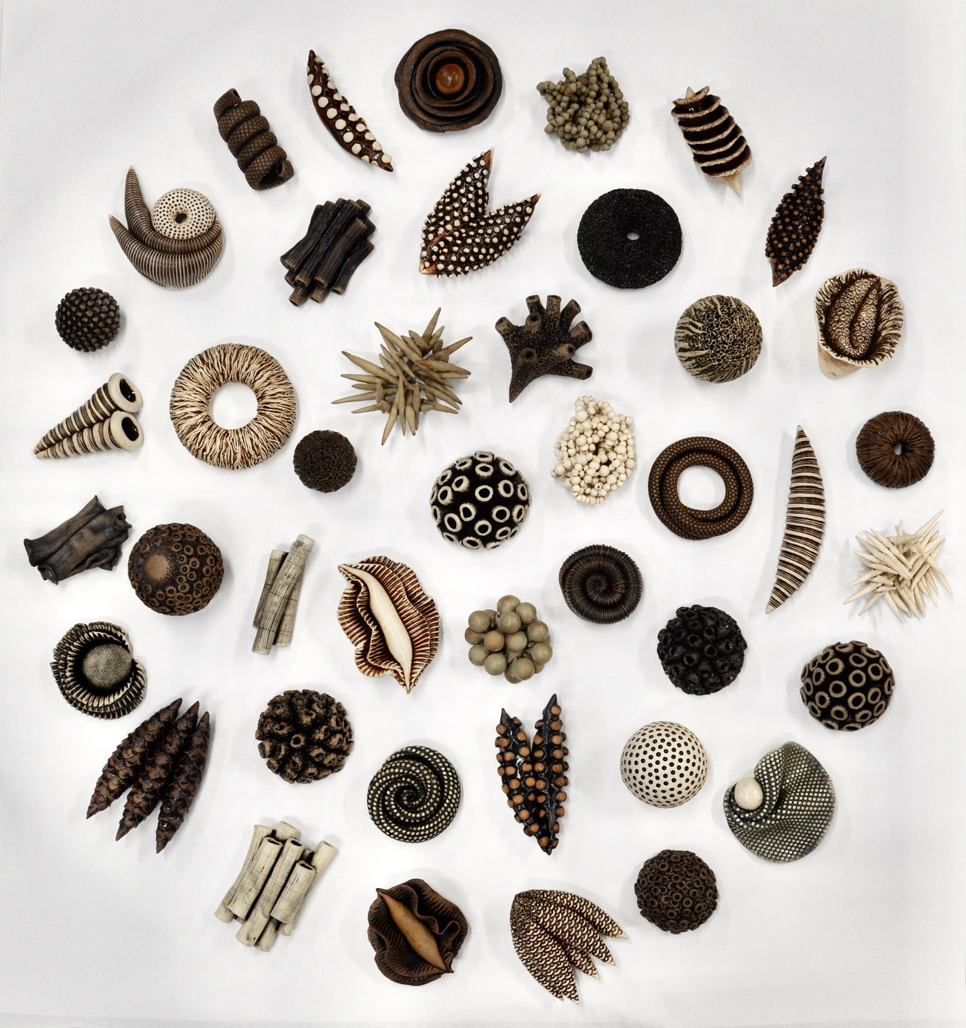 43 Ceramic Specimen Installation