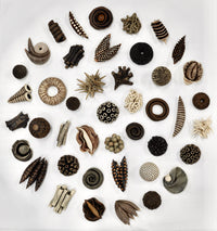 43 Ceramic Specimen Installation