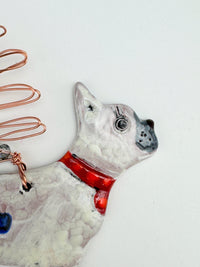 Dog: French Bulldog II