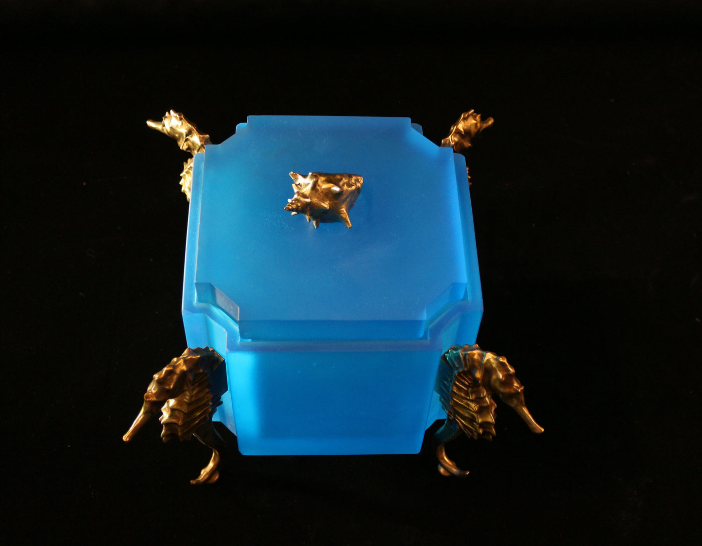 Seahorse Box