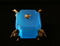 Seahorse Box