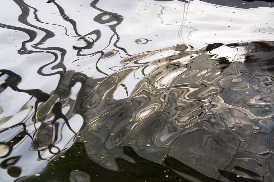 Steel Movement | Photo by Cindy A Stephens