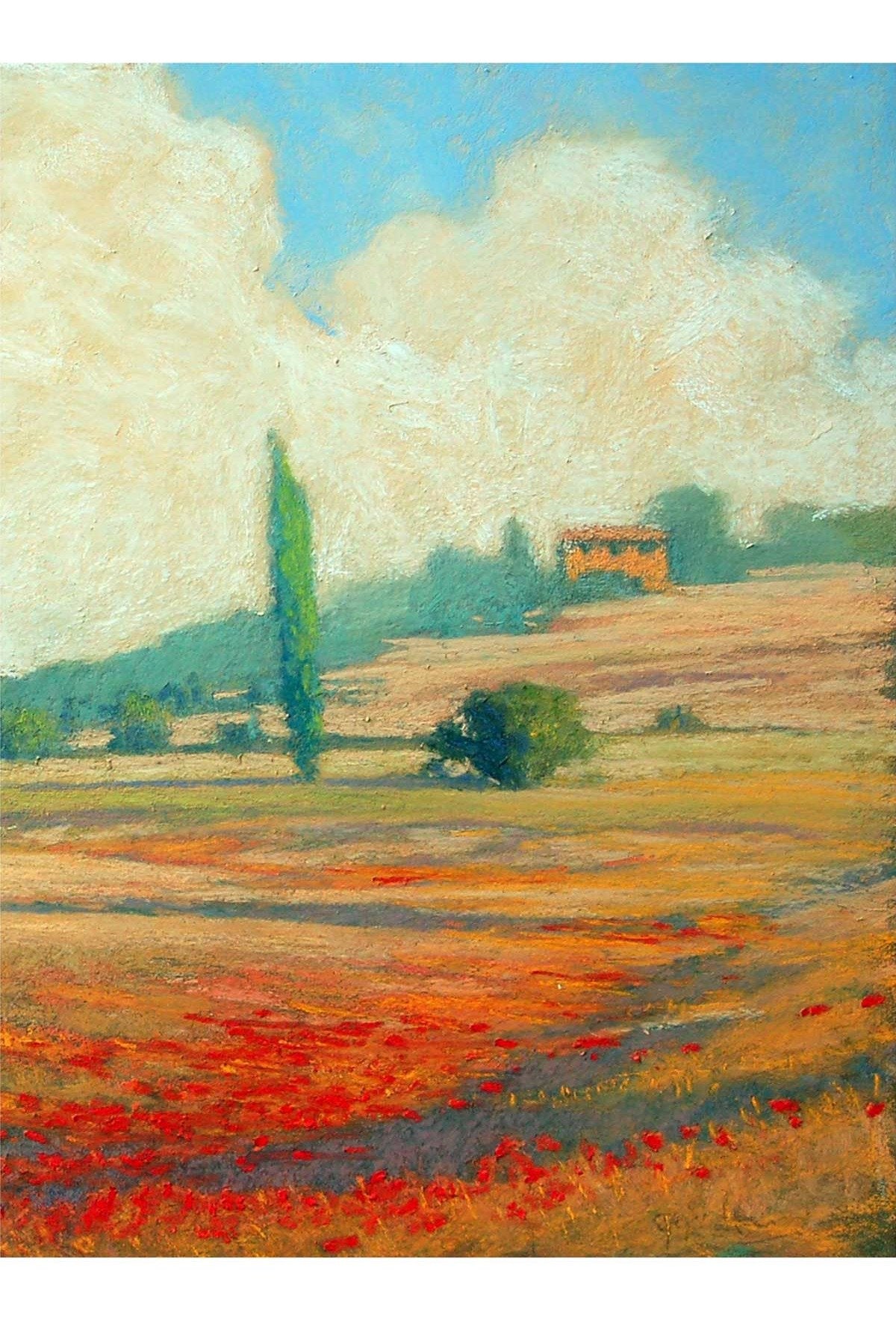 Tuscan Poppy Field