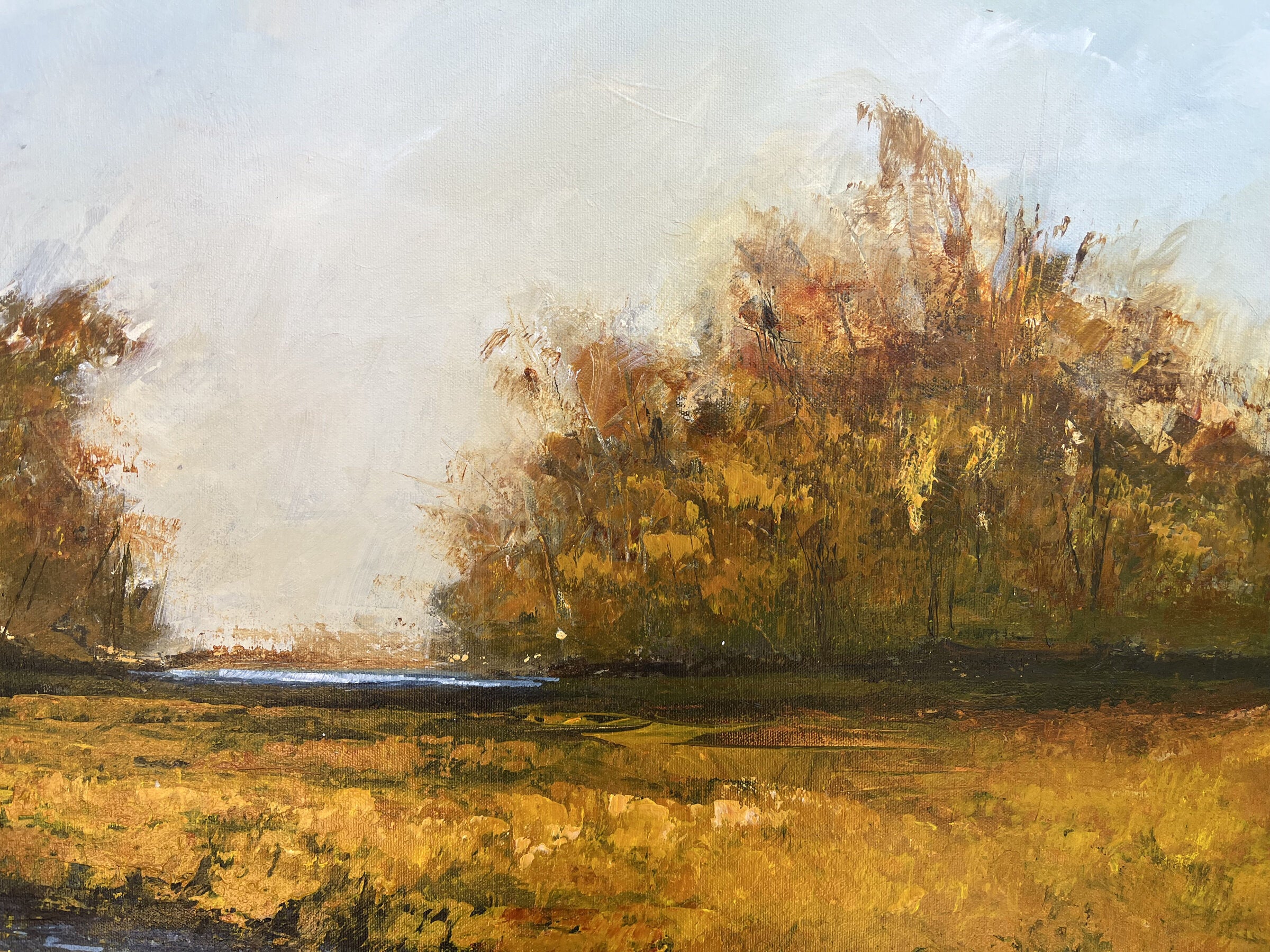 Sunset Meadow