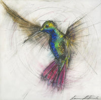 Hummingbird 009