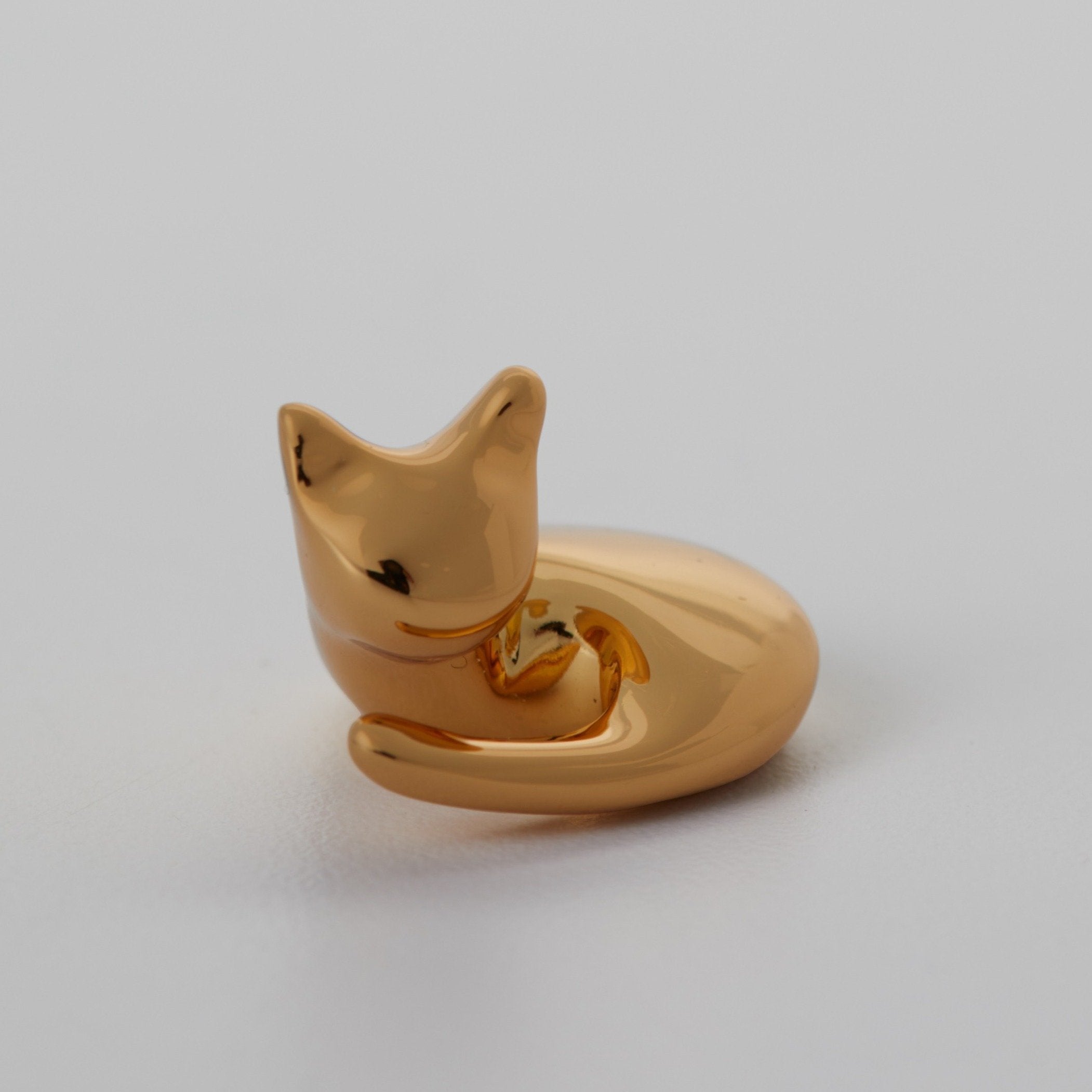 Curled up Cat