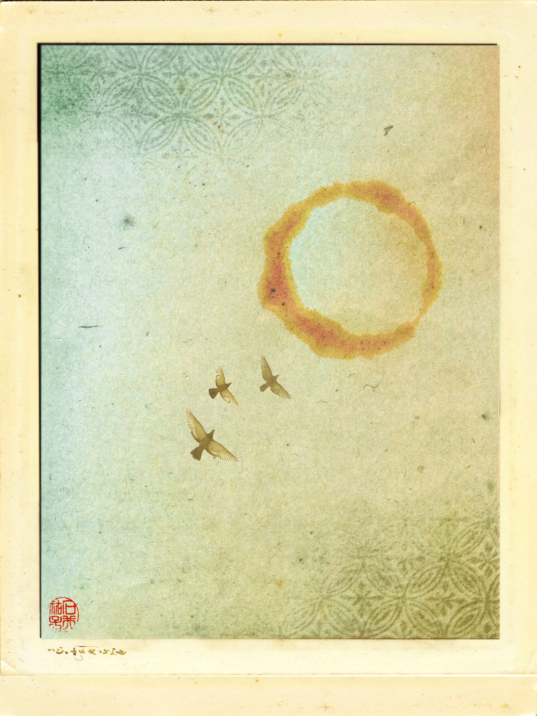 Our Sun