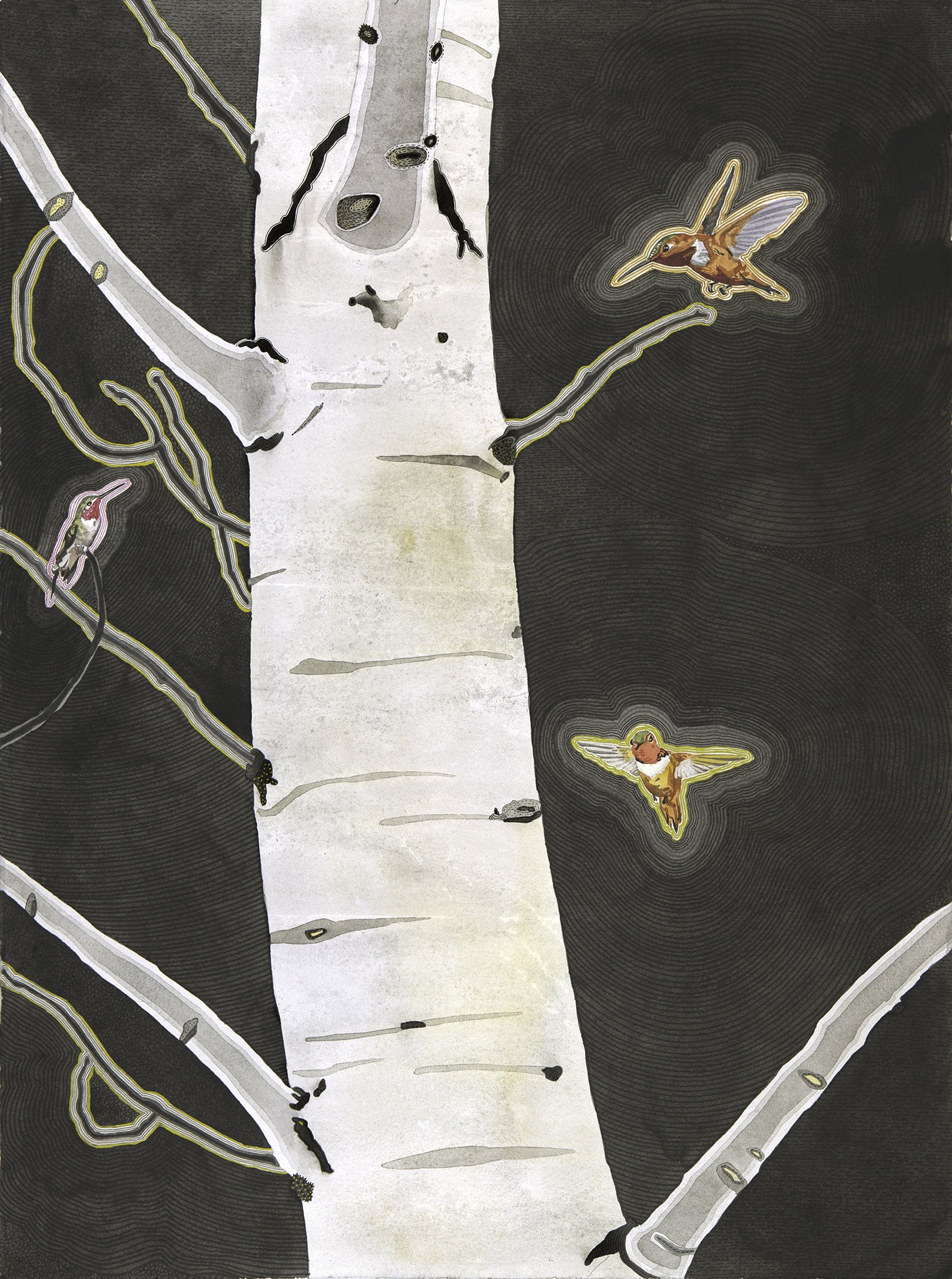 The Hummingbird Tree