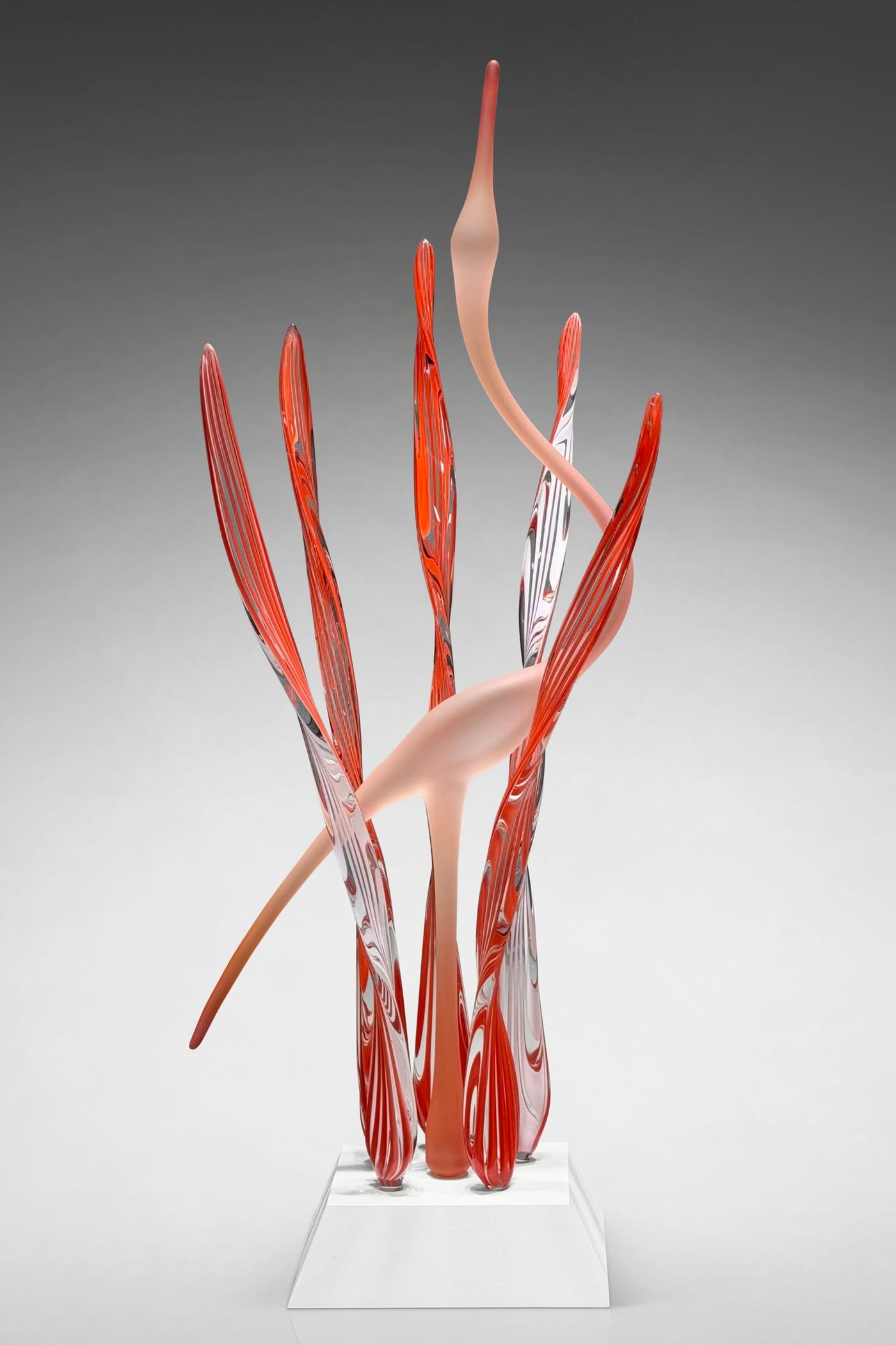 Heron's Cove I, Coral Passion