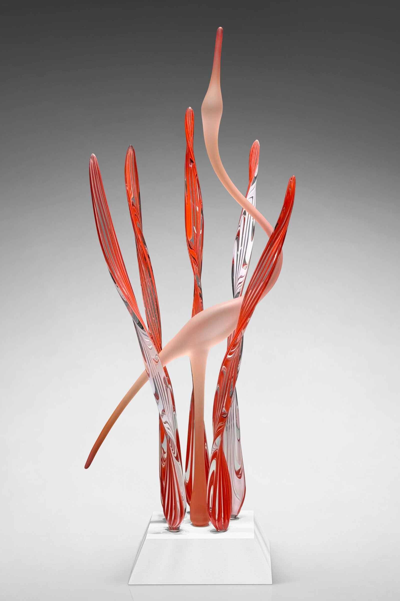 Heron's Cove I, Coral Passion