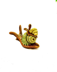Hitchhiker Snails