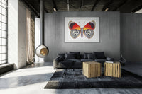 Cramer's 88 Butterfly