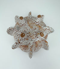 Reef II