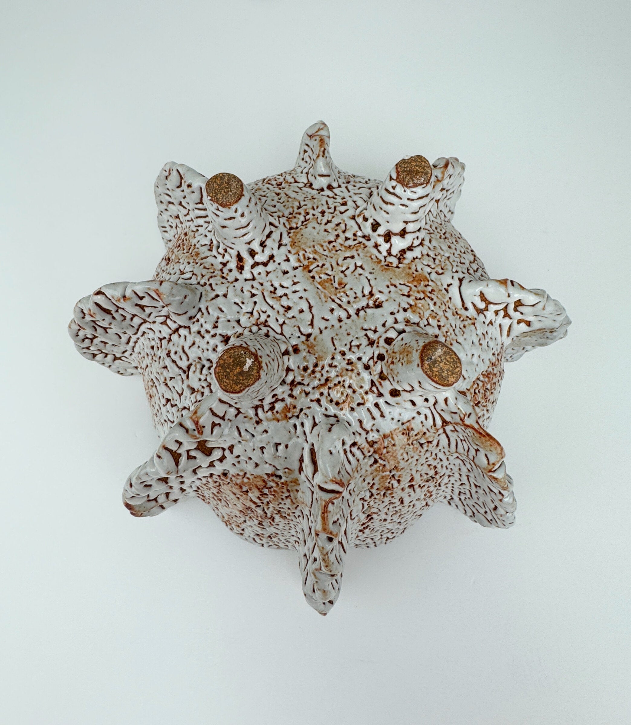 Reef II