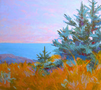 Mohegan Spruce