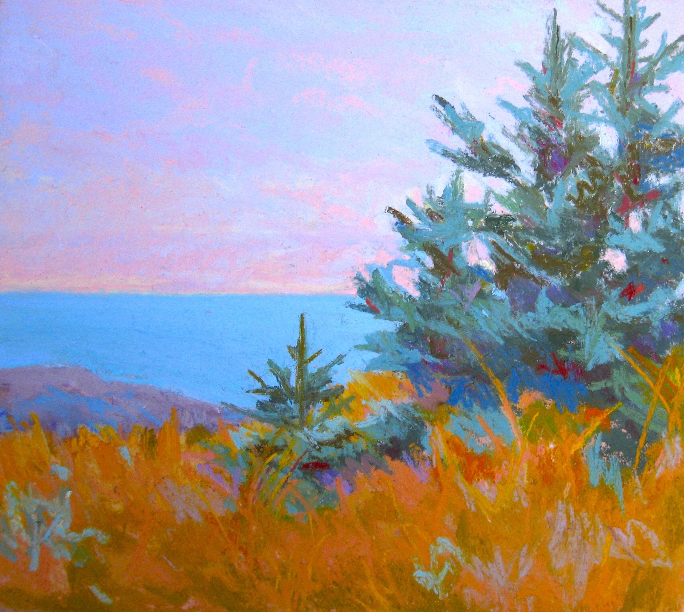Mohegan Spruce