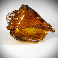 Warm Glow Shell