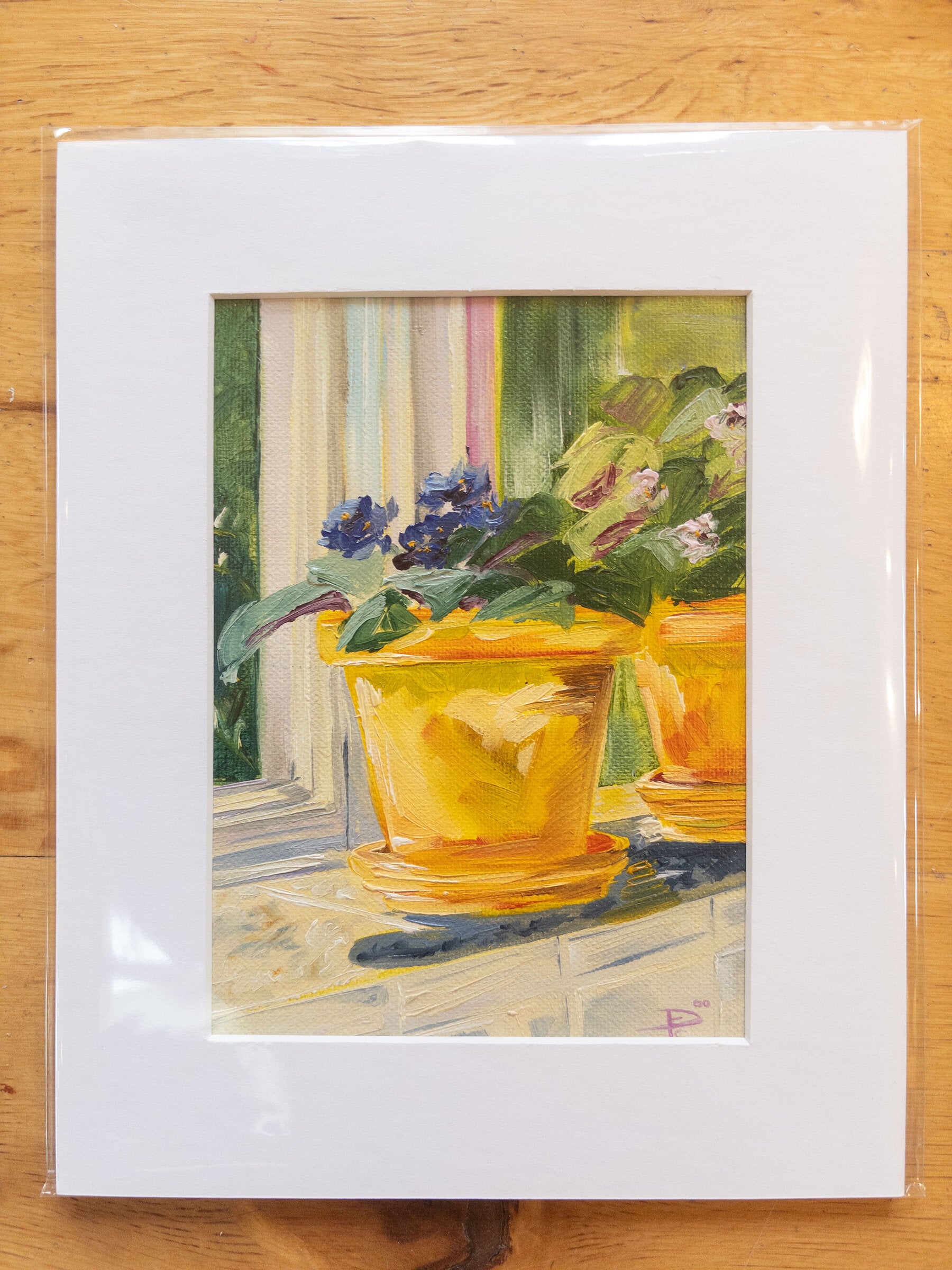 Violets in Yellow Pots