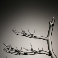 Winter Winds