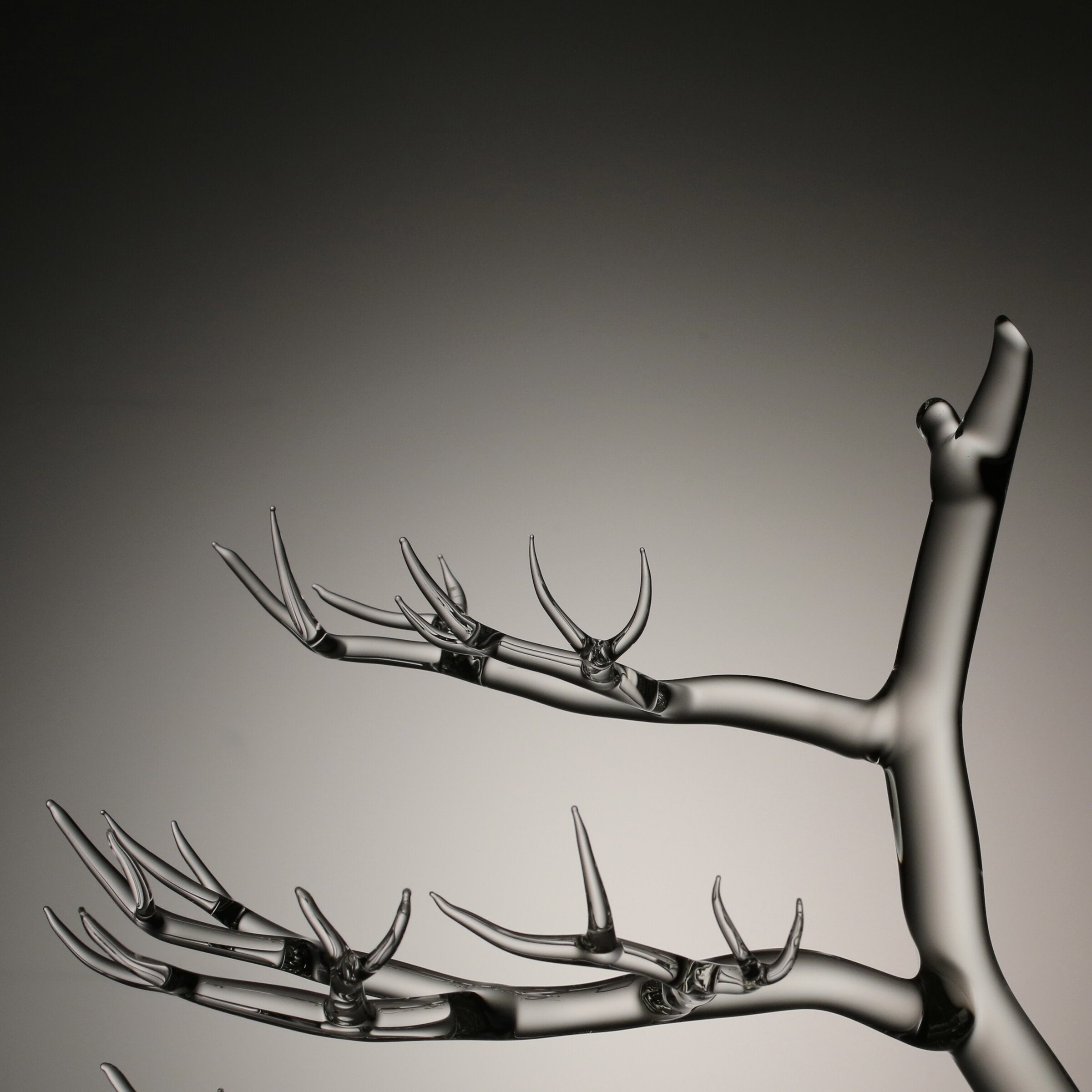 Winter Winds