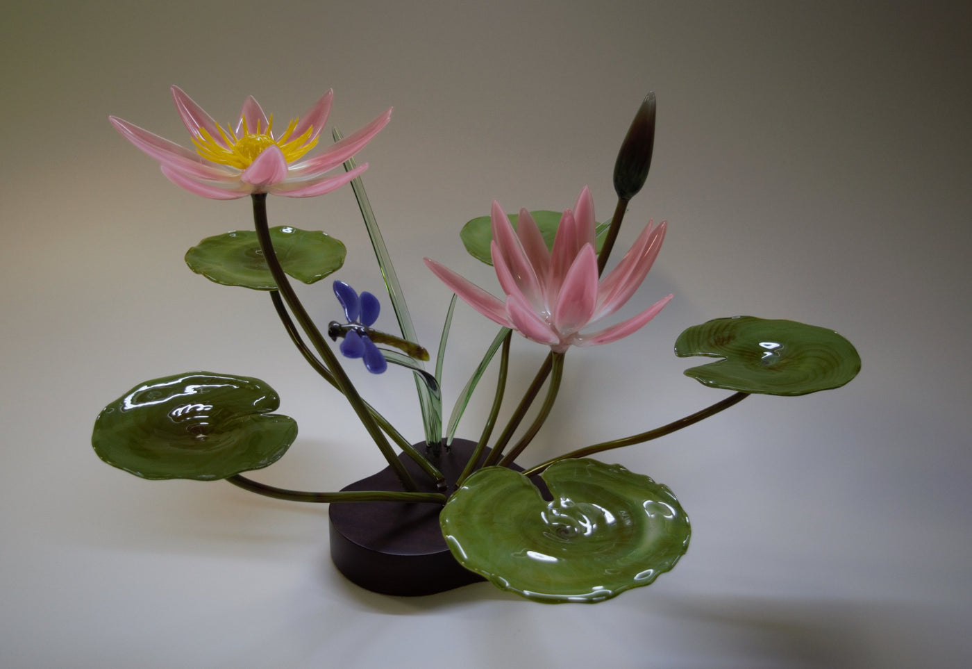 Pink Water Lily and Dragonfly
