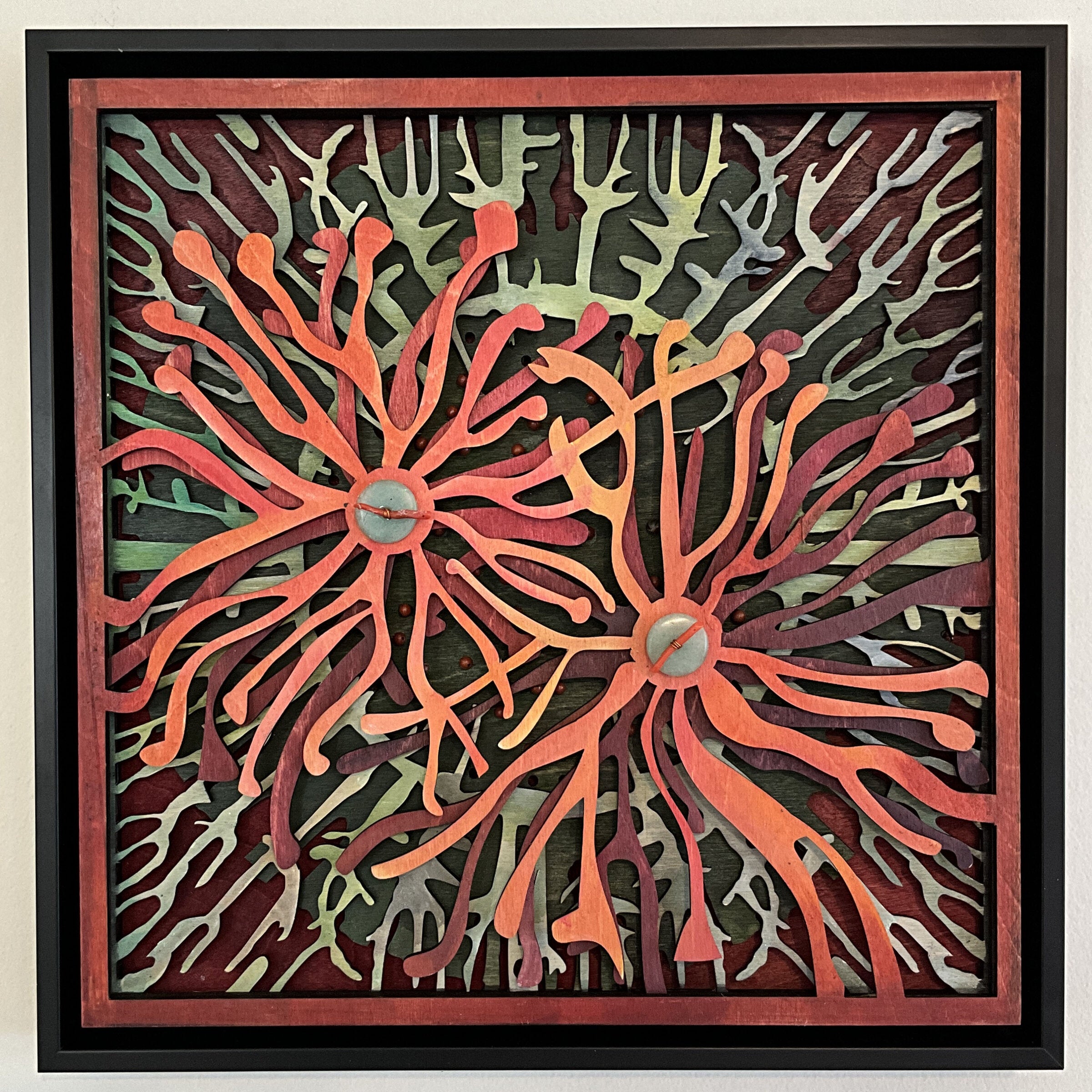 Peach Spider Mums