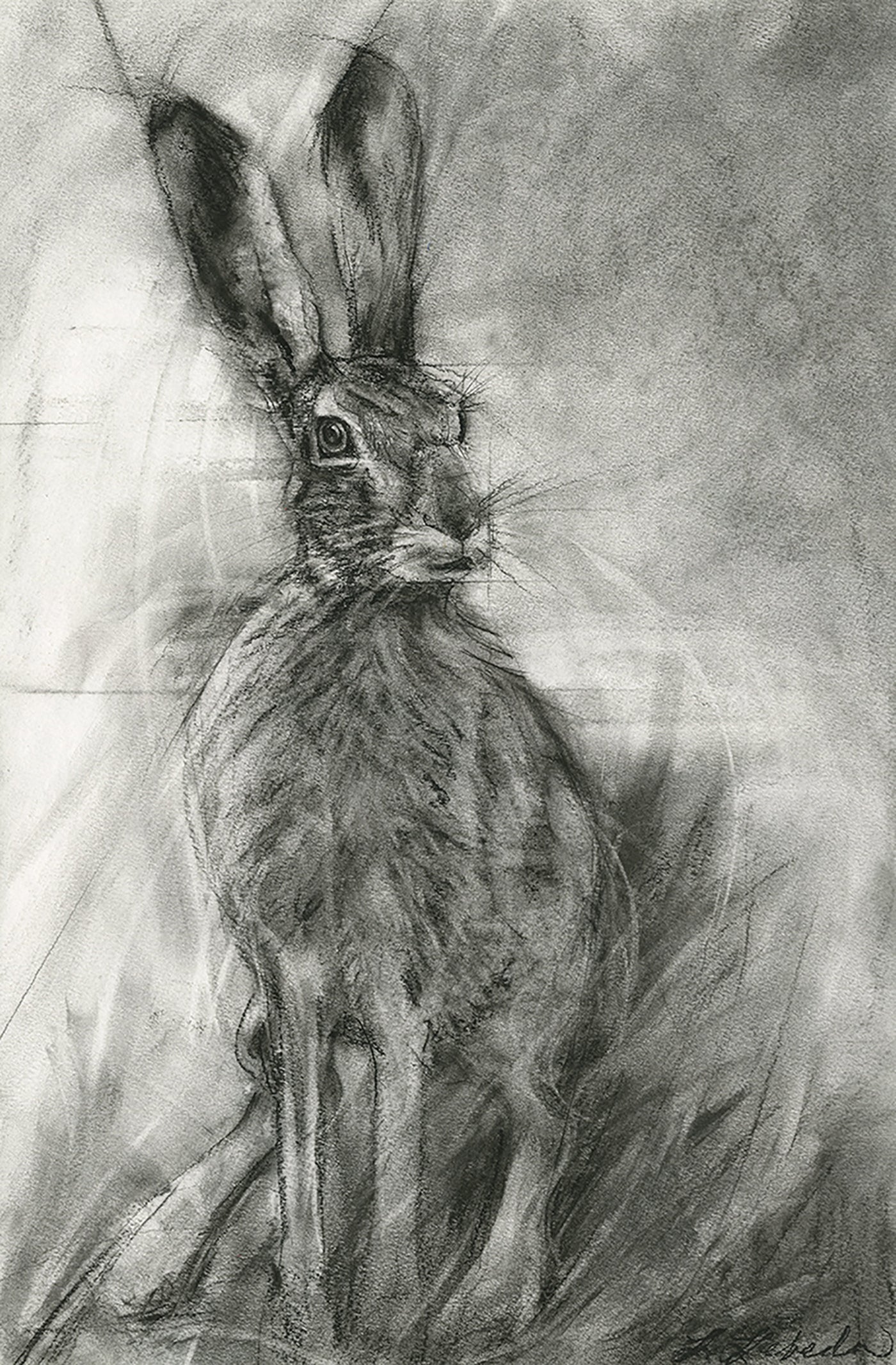Ready - Hare