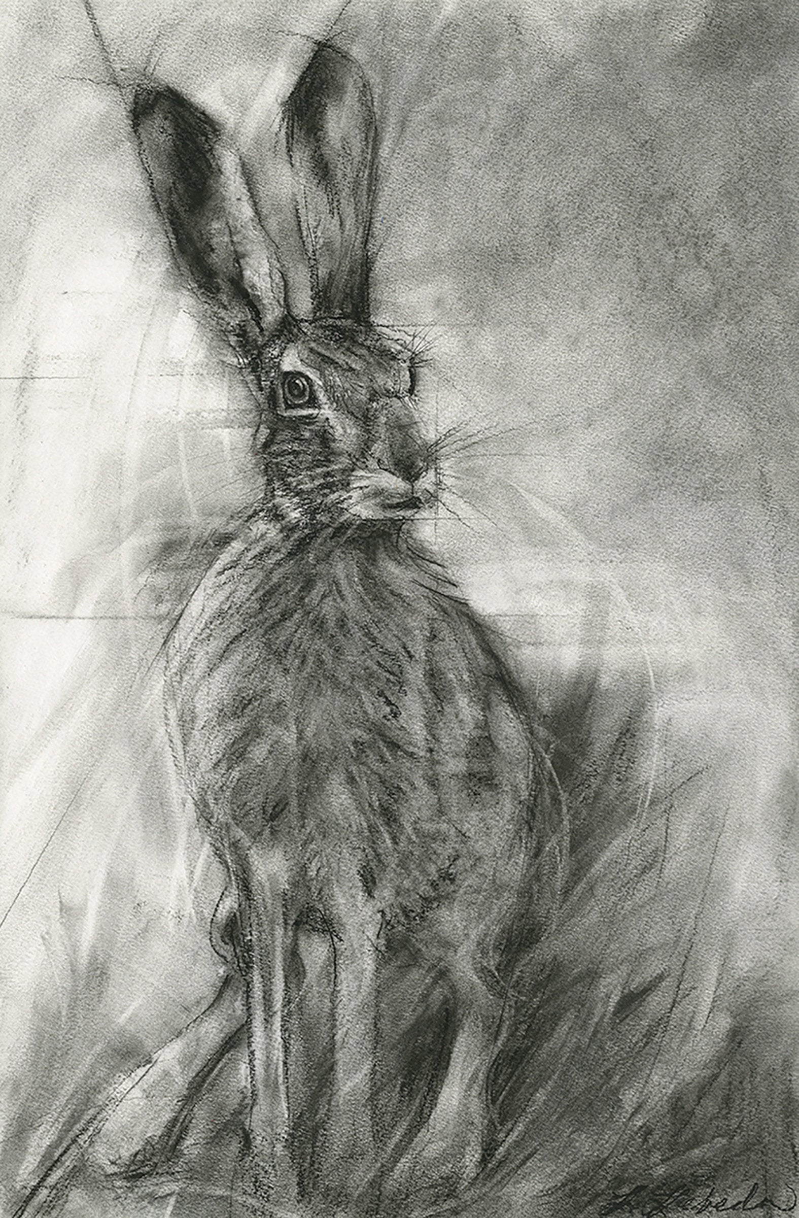 Ready - Hare