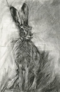 Ready - Hare