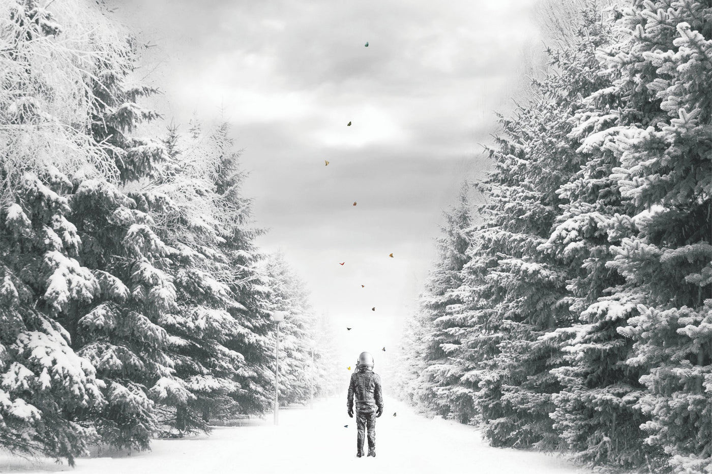 The Path