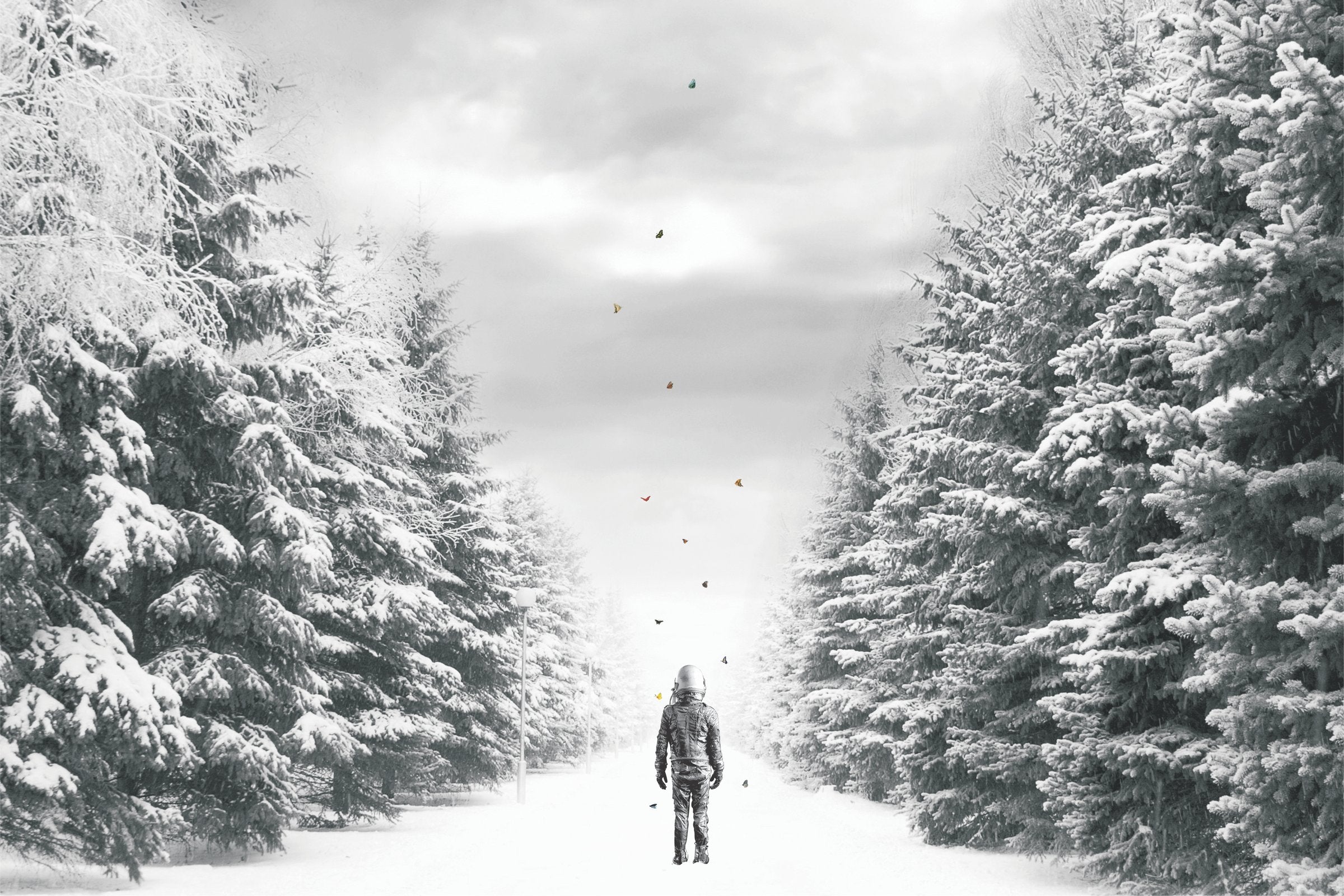 The Path