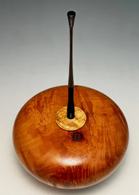 Lidded Madrone Burl