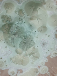 Lotus Wall Installation with Green and Rose Tan