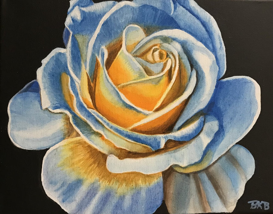 White Rose, Blue Shadows | Photo by BKB