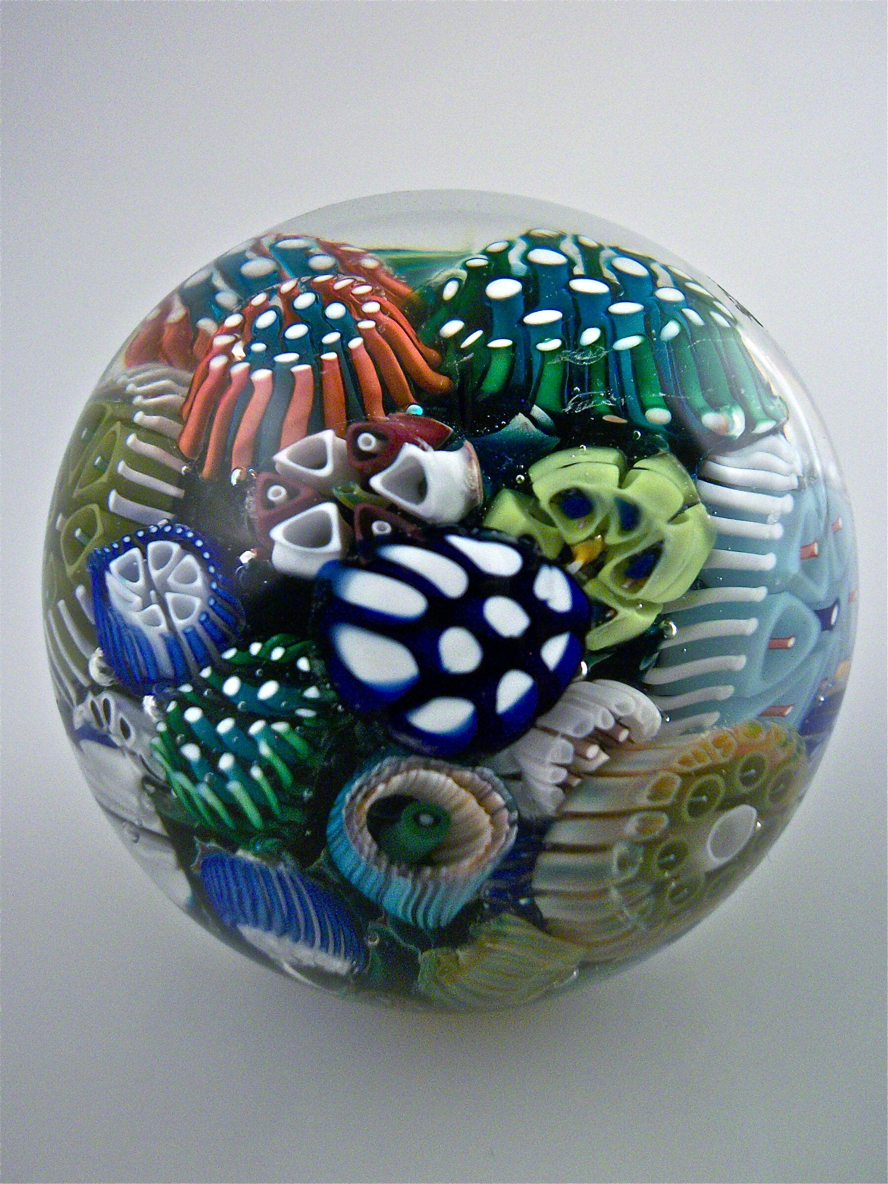 Ocean Reef Paperweight