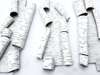 Trio of Scrolls