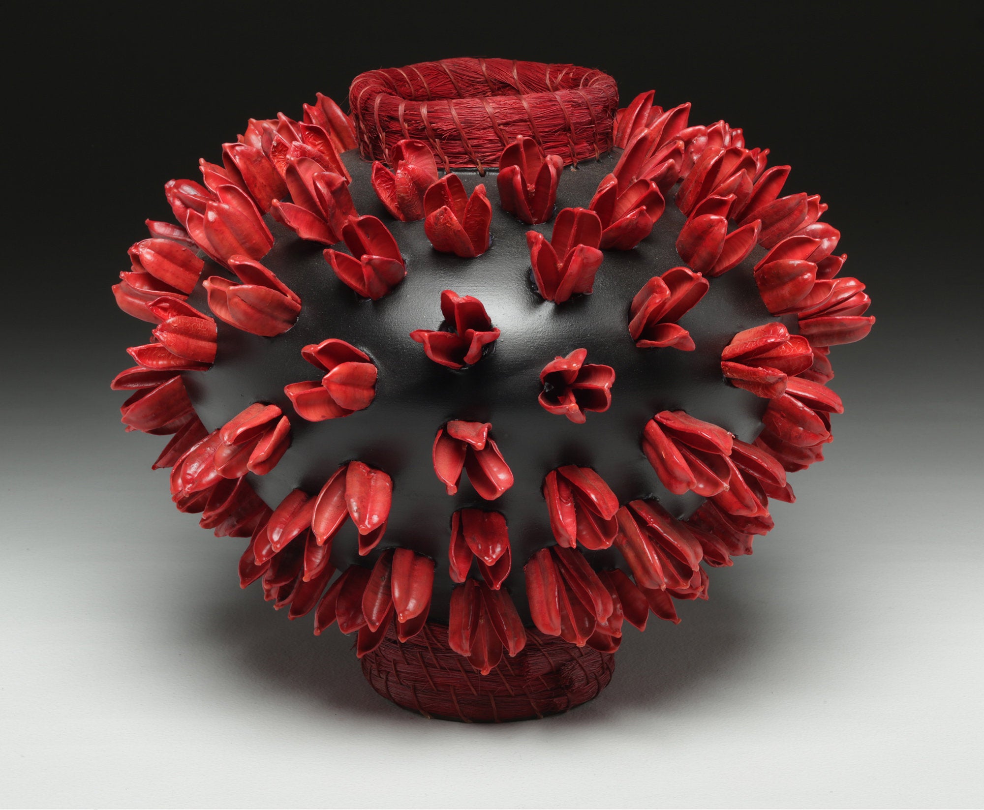 Agave Pod Vase
