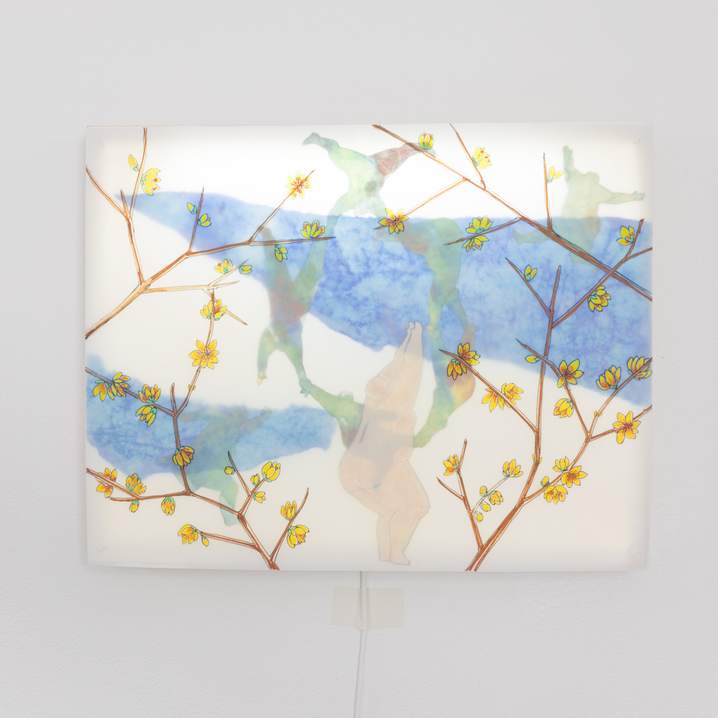 Winter Jasmine Illuminated Box