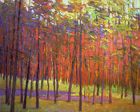 Forest Surprise