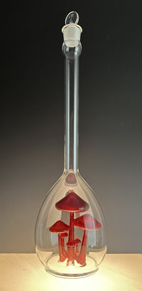 Mushroom Specimen in Long Neck Jar