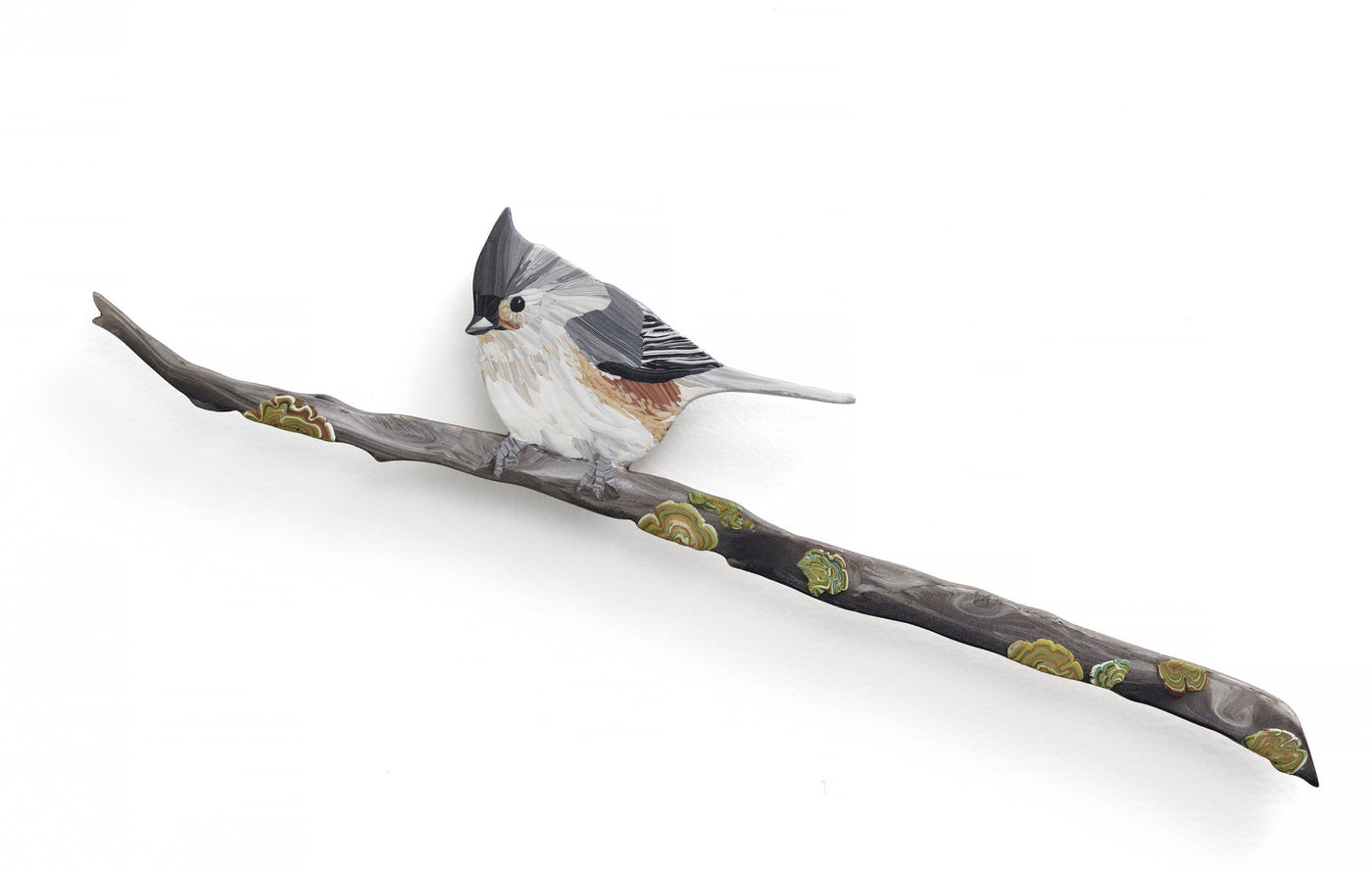 Tufted Titmouse
