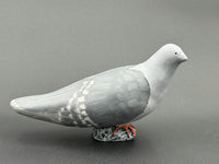 Pale Gray Head