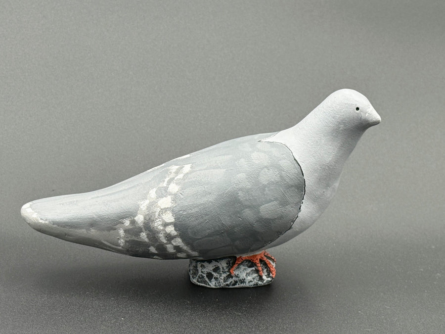 Pale Gray Head