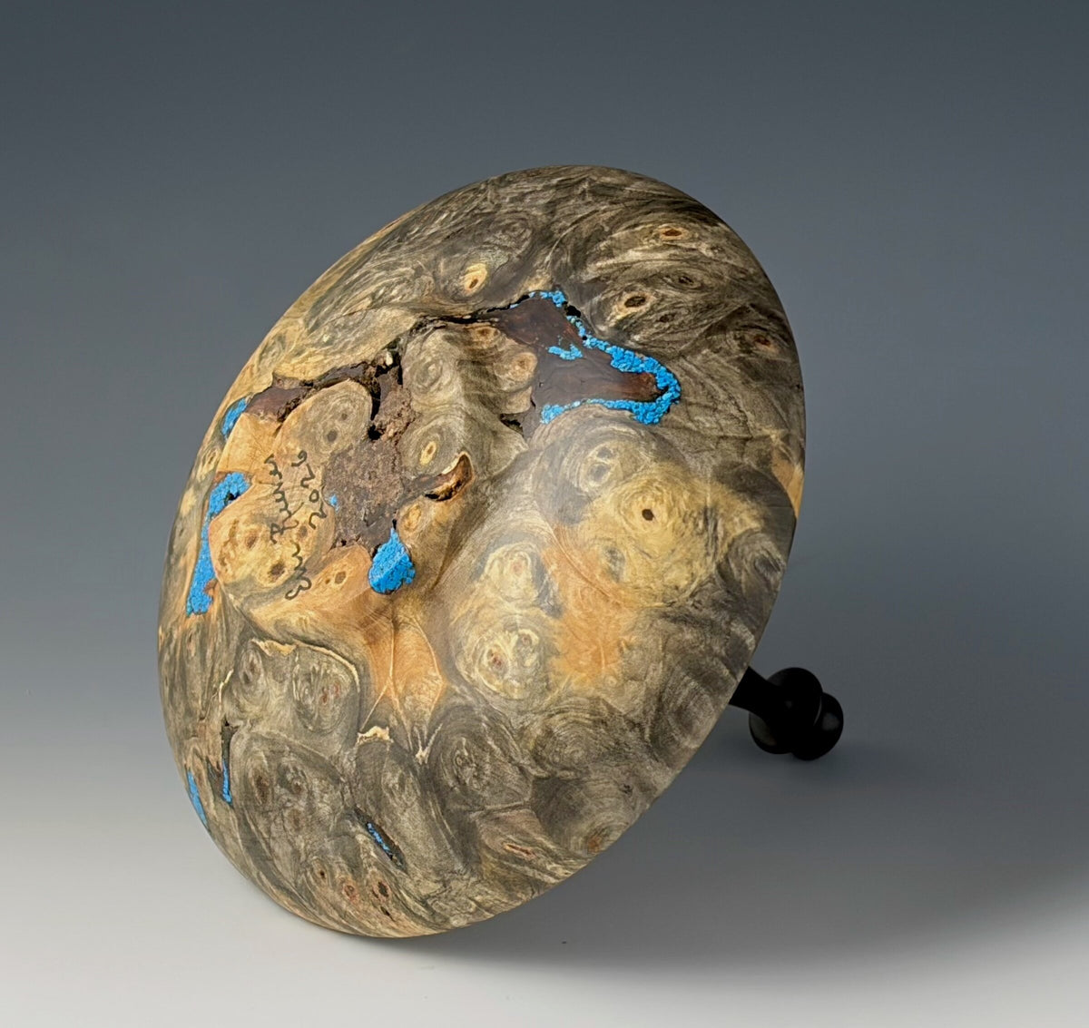 Vessel Turned from Buckeye Burl and African Blackwood Finial