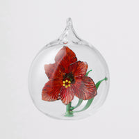 Crimson Amaryllis