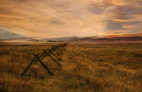 Single Destination