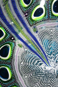 Lime Aqua Hyacinth Foglio II